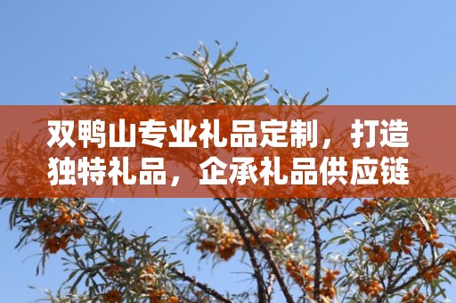 双鸭山专业礼品定制，打造独特礼品，企承礼品供应链助力商务发展
